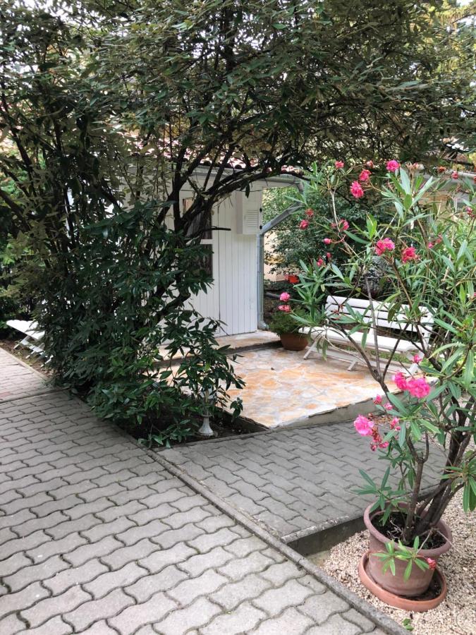 Szem-S Vendeghaz Hotel Balatonszárszó Eksteriør billede