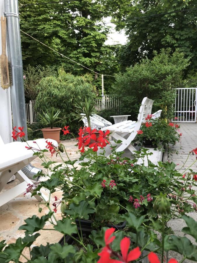 Szem-S Vendeghaz Hotel Balatonszárszó Eksteriør billede