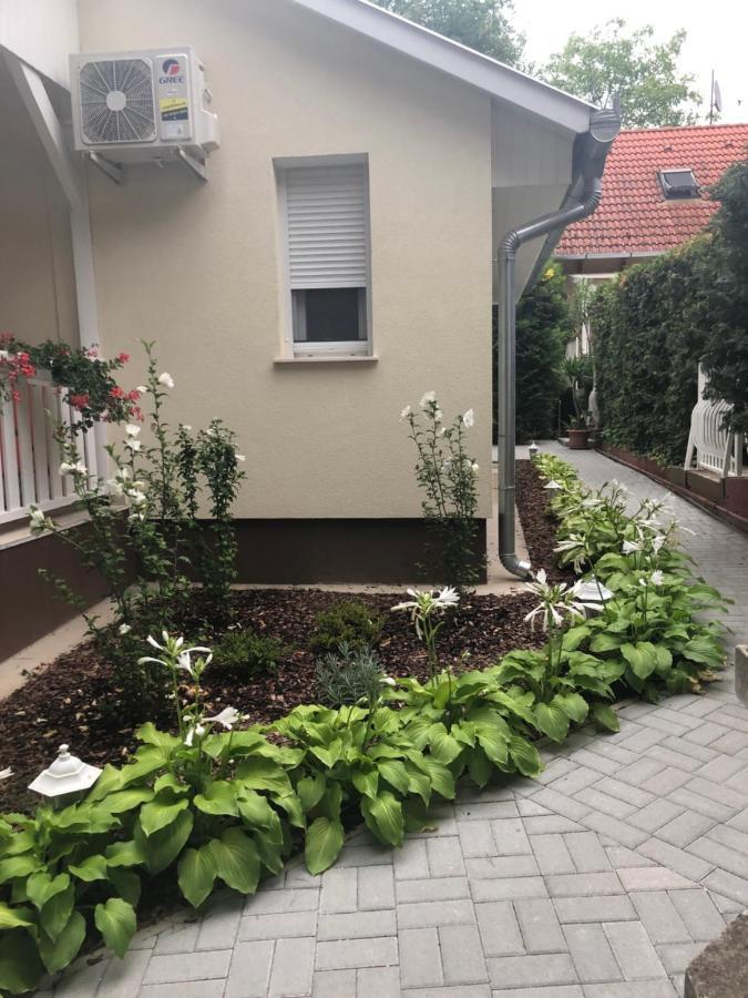Szem-S Vendeghaz Hotel Balatonszárszó Eksteriør billede