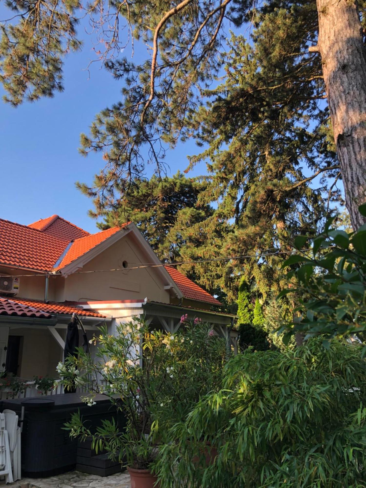 Szem-S Vendeghaz Hotel Balatonszárszó Eksteriør billede